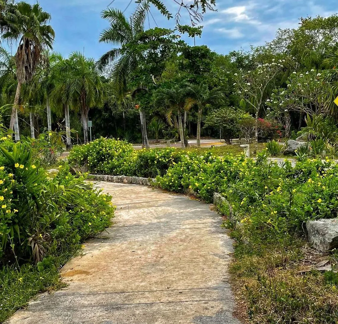 Cozy Terrace @ Blue House Apartment Puerto Aventuras