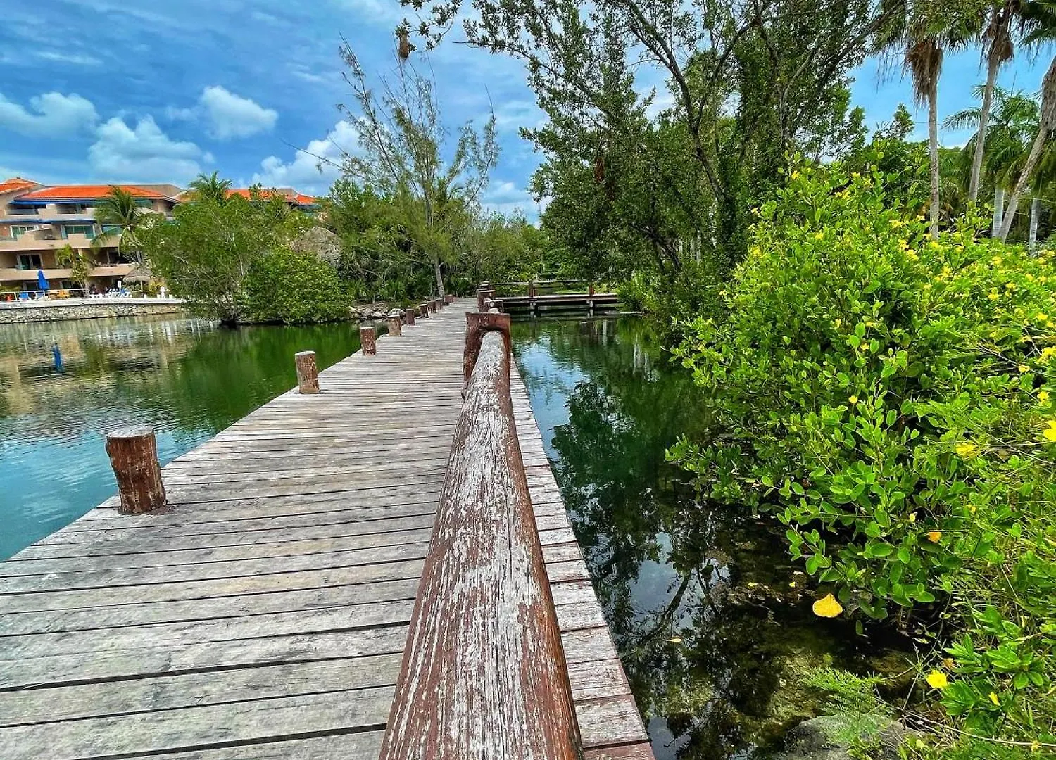 Cozy Terrace @ Blue House Apartment Puerto Aventuras Mexico